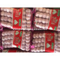 Ail blanc pur 5P * 16 / 5P * 12 sac en filet Chine Jinxiang ail frais